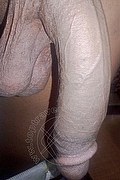 Bologna Trav Escort Crystal 353 3140303 foto selfie 21